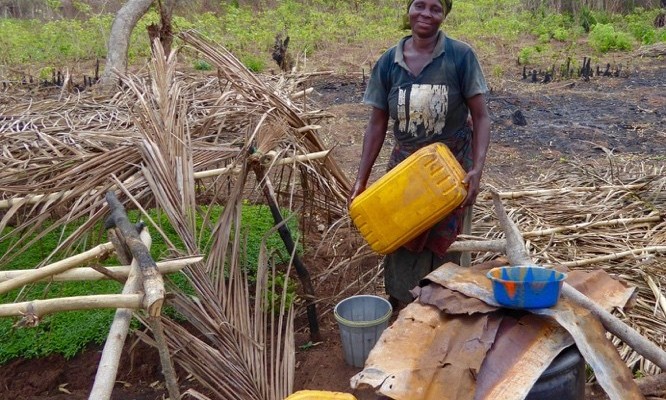 (ii}A female beneficiary at work